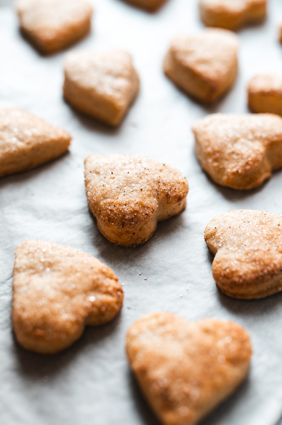 Varškės sausainiai